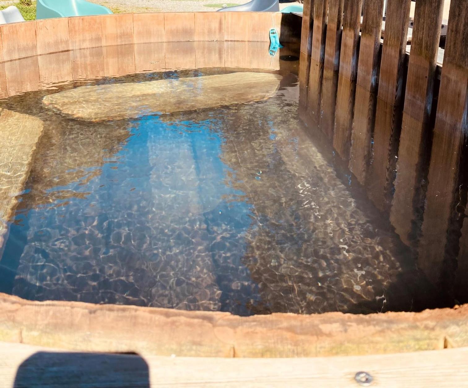 Les Marmottes Pour 12 Avec Bain Nordique Privatif Villa Camous Buitenkant foto